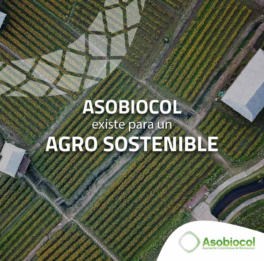 blog-asobiocol-colombia-sostenible-100.jpg